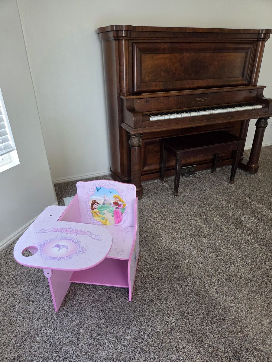 Pink Princess Desk