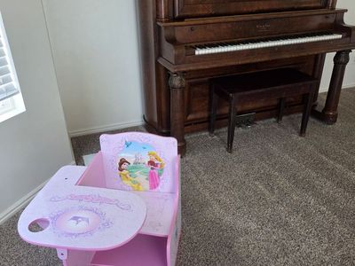 Pink Princess Desk