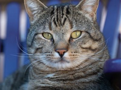 Hello my name is Benson