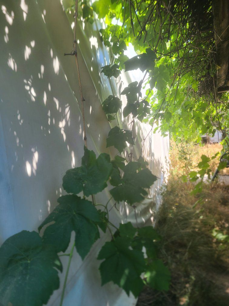 Main image 5