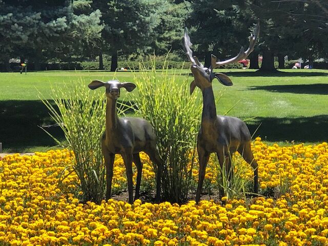 Family Estate Sale - 3 Memorial Burial Plots