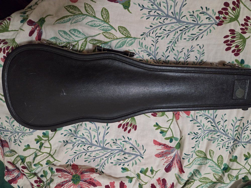 Hard Violin Case with Black Plush Interior