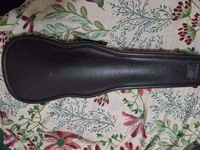 Hard Violin Case with Black Plush Interior