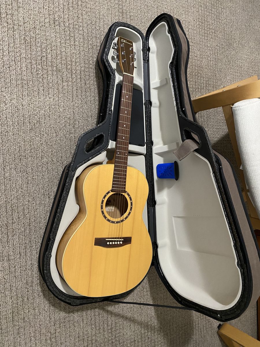 Norman folk guitar with case