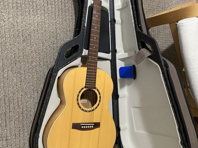 Norman folk guitar with case