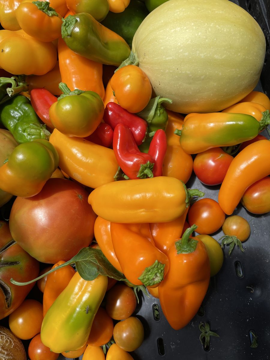 Ogden-Grown Fresh Produce