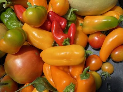 Ogden-Grown Fresh Produce