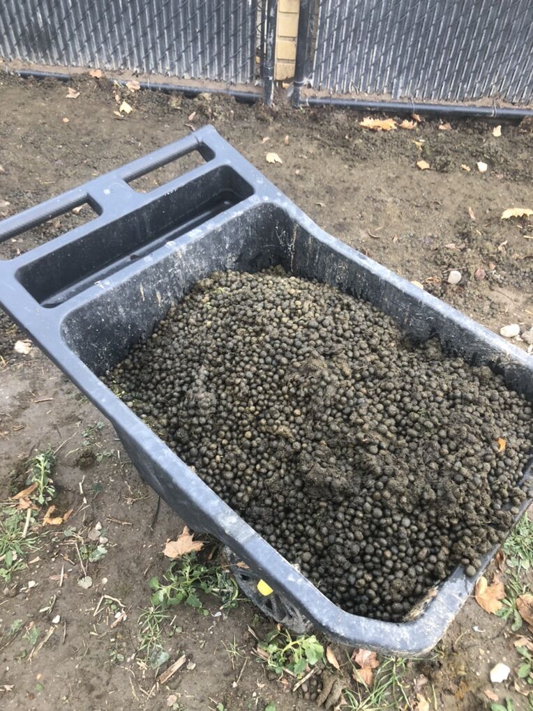Rabbit Manure Garden Fertilizer