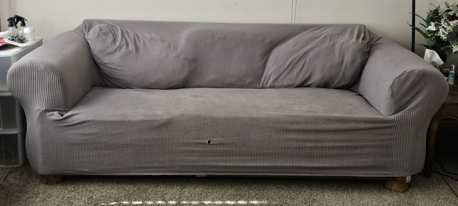 Free Couch and Loveseat Set