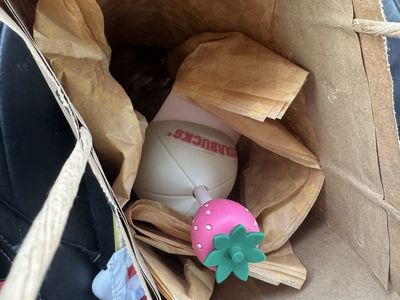 Starbucks Pink Drink Bear Cup
