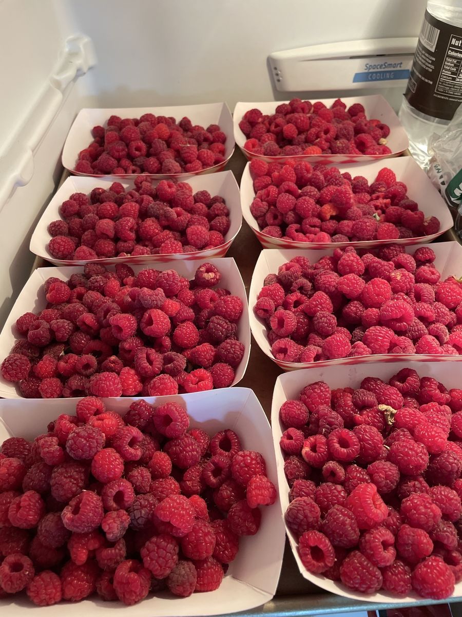 Raspberries