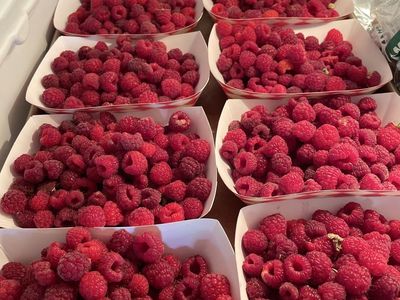 Raspberries