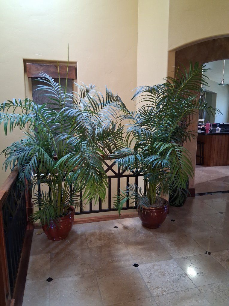 Pair of Large Artificial Potted Indoor Palm Plants in Decorative Ceramic Pots