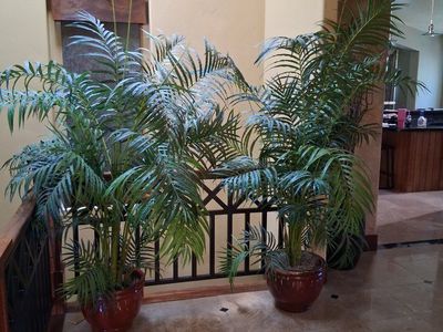 Pair of Large Artificial Potted Indoor Palm Plants in Decorative Ceramic Pots