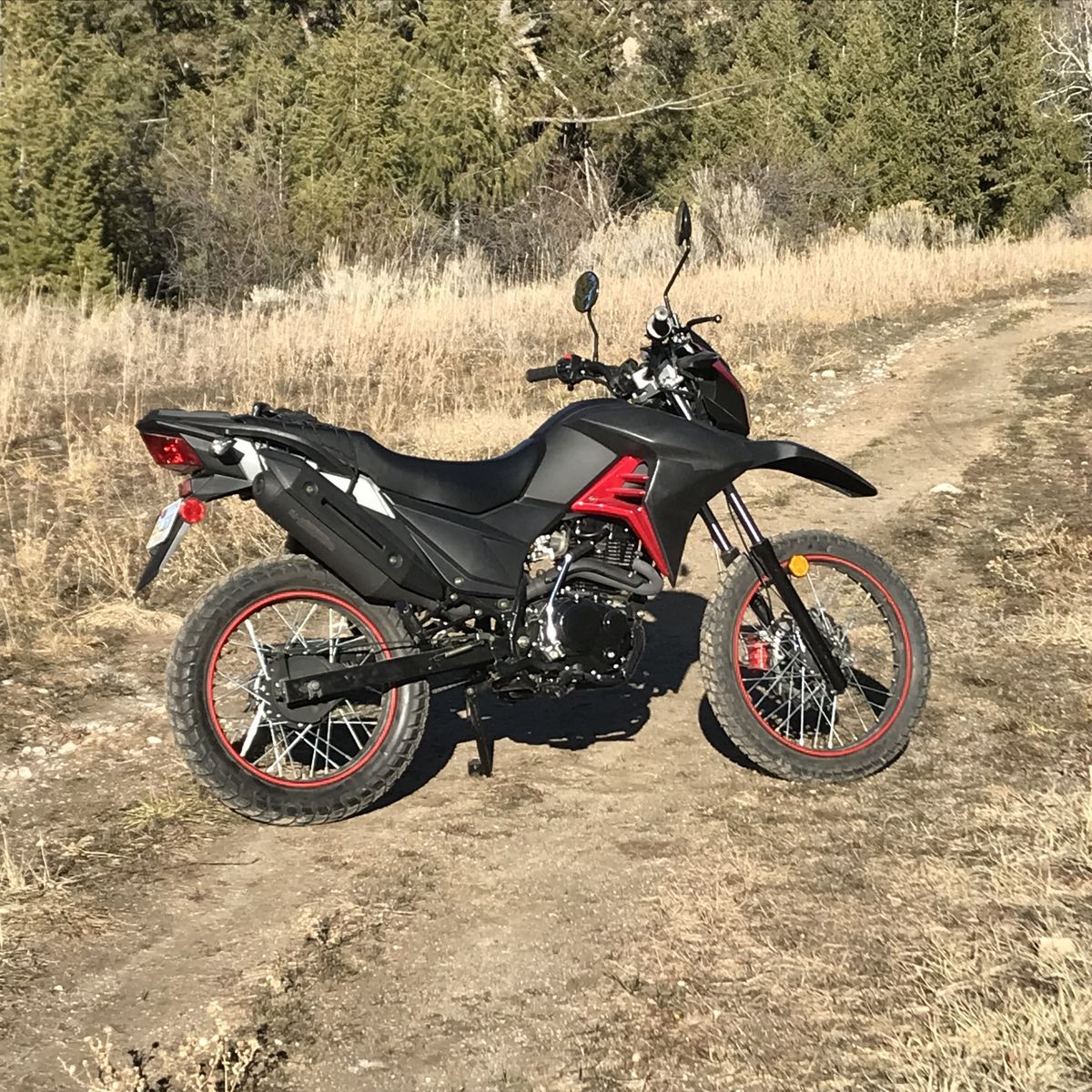 Motorcycle dual sport