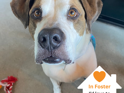 Hello my name is Richard