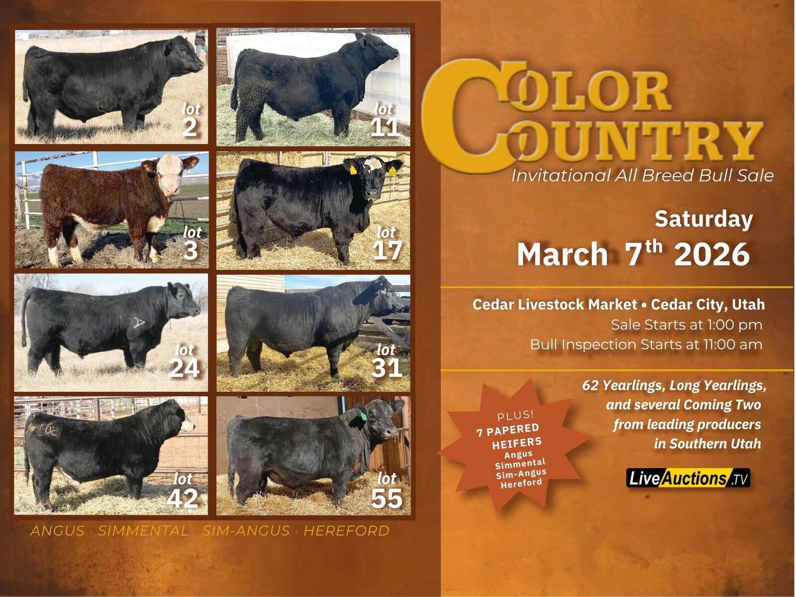 Color Country Invitational All Breeds Bull Sale *MARCH 7, 2026*