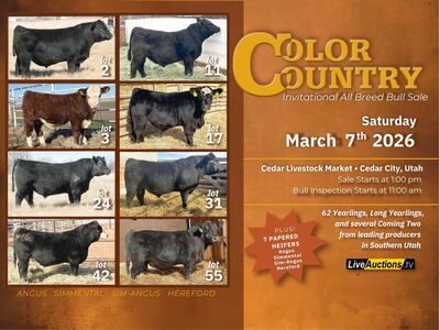 Color Country Invitational All Breeds Bull Sale *MARCH 7, 2026*