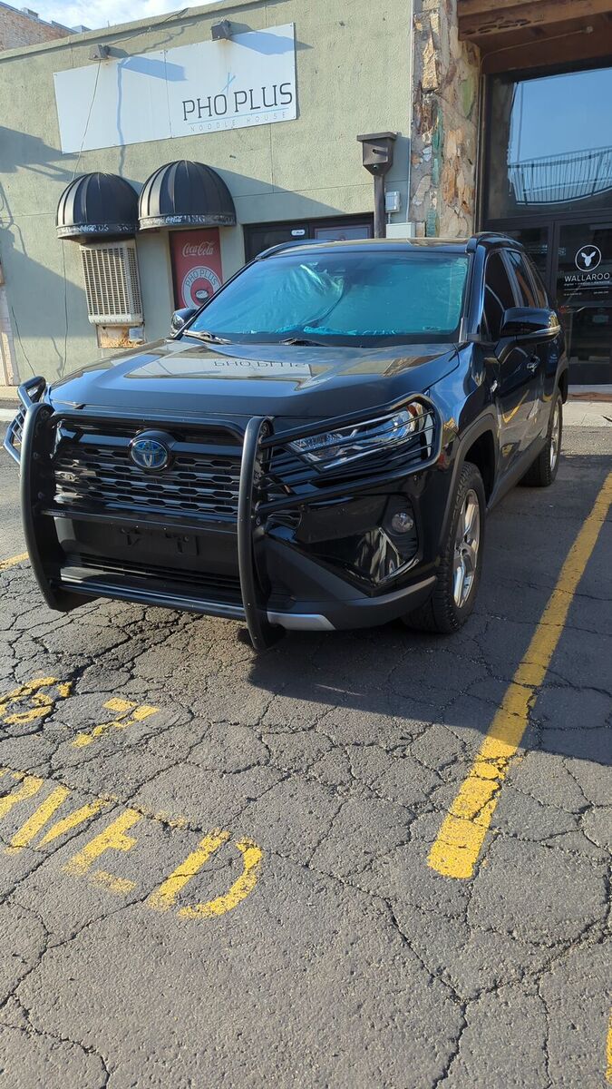 Black Horse Grille Guard, 2019-2024 Toyota RAV4