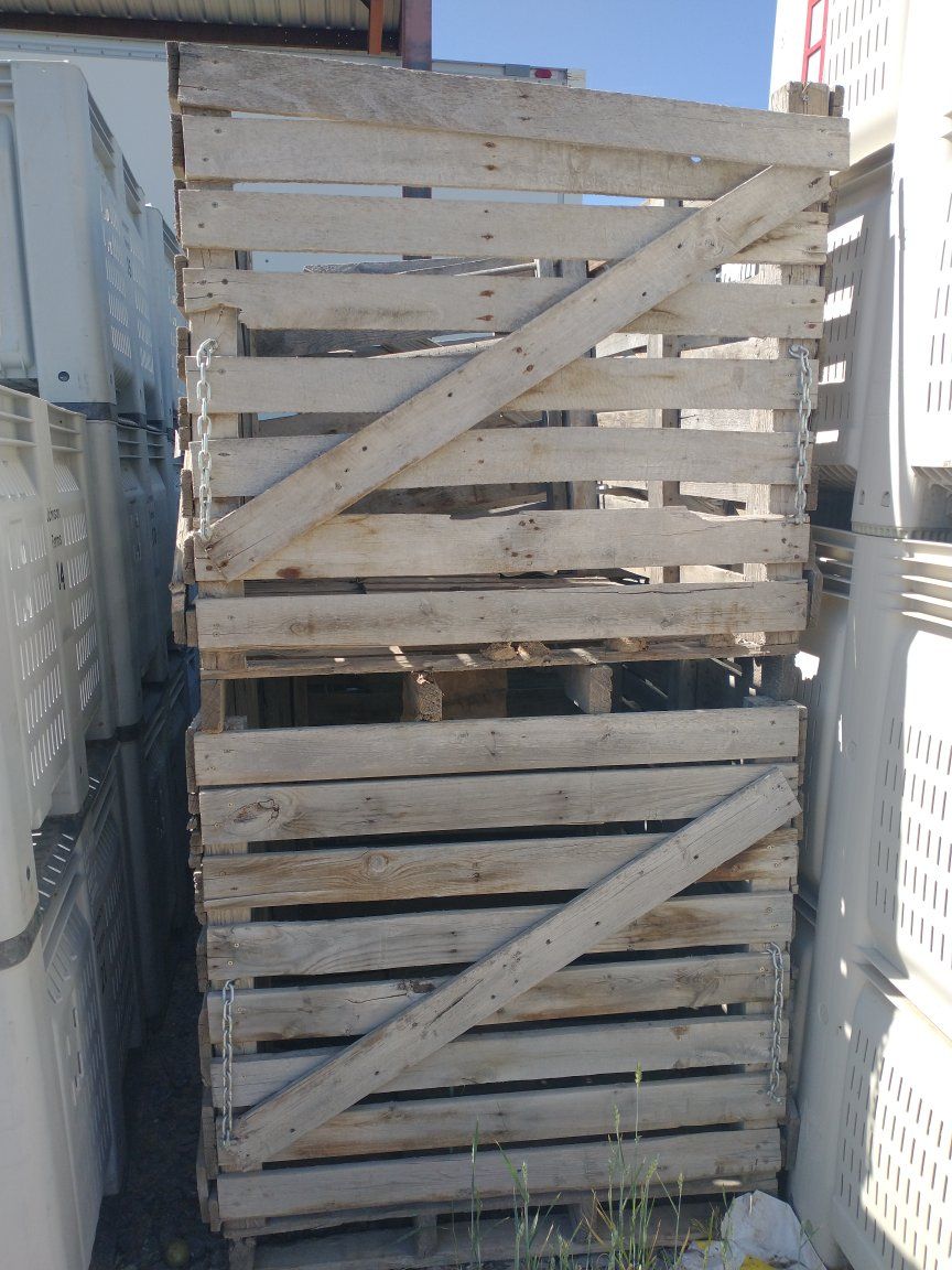 Main image 2