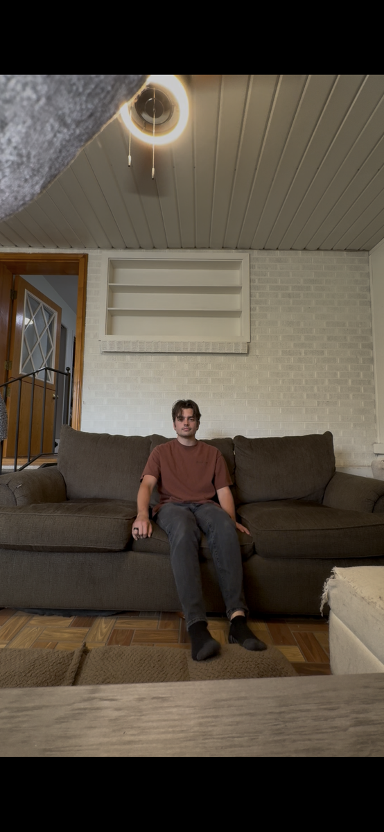 Free Brown Couch