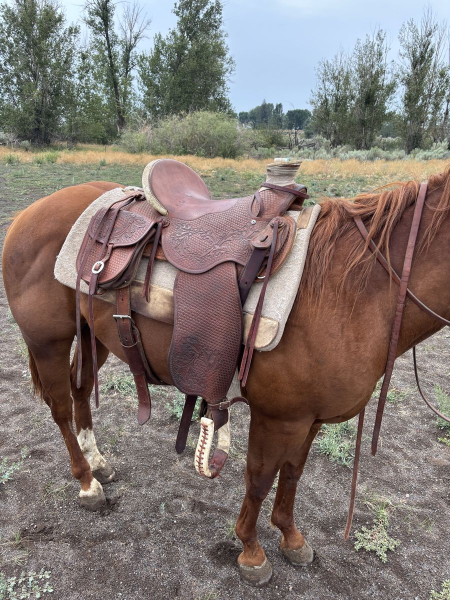 Like-New hand crafted Custom Rafter K Saddle 15.5in