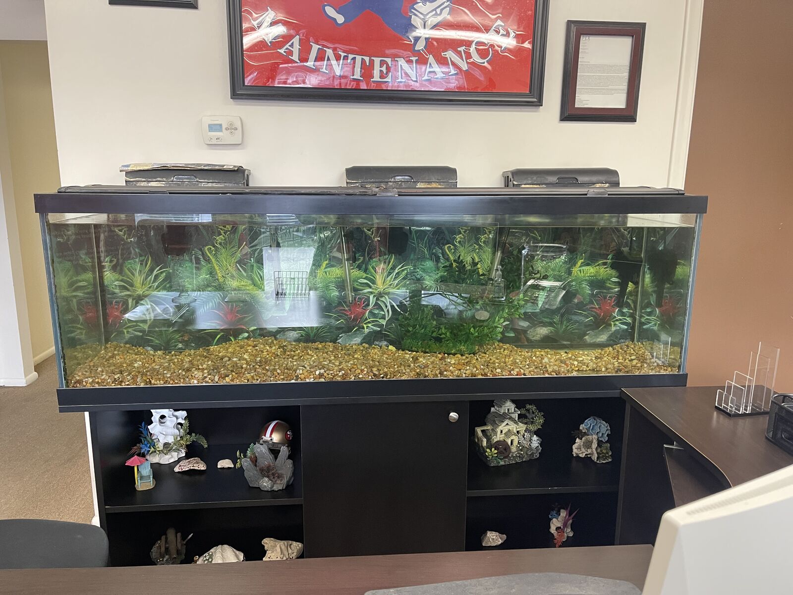 125 Gallon Aquarium