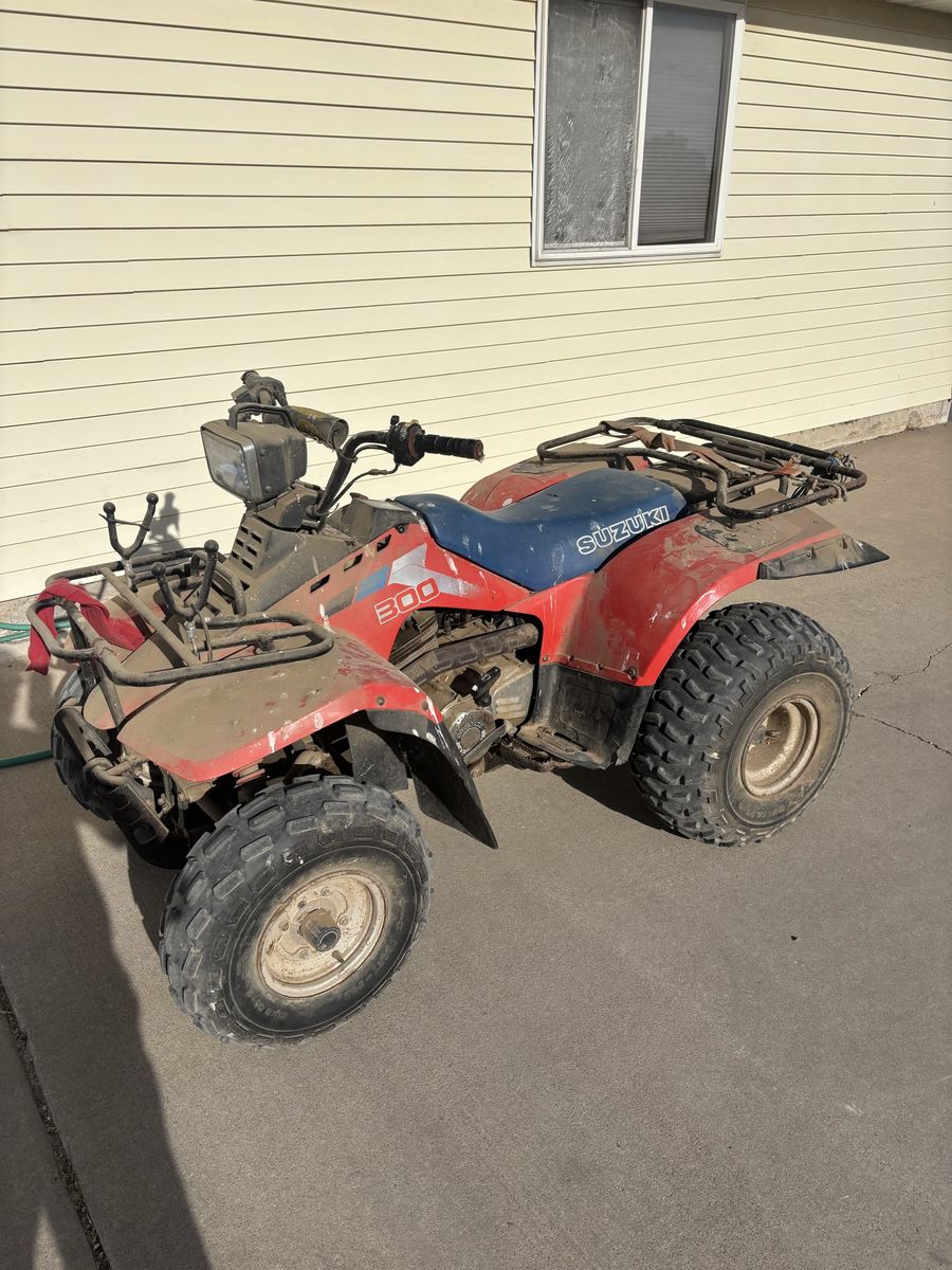 Suzuki 300