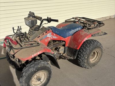 Suzuki 300