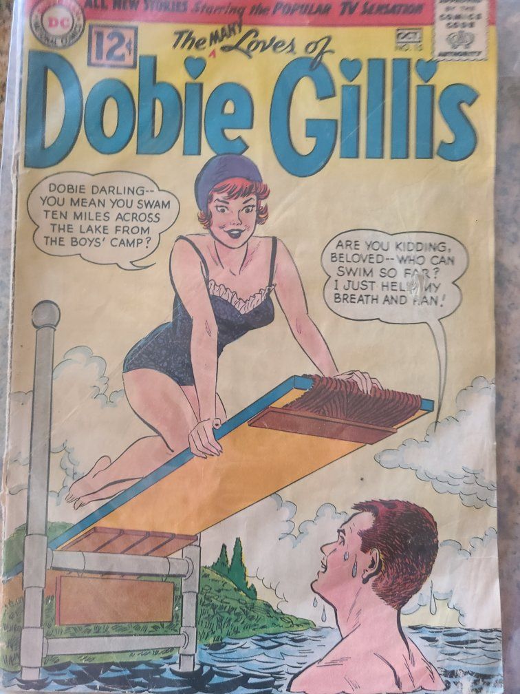 Vintage DC Comics The Many Loves of Dobie Gillis #15 October Comic Book