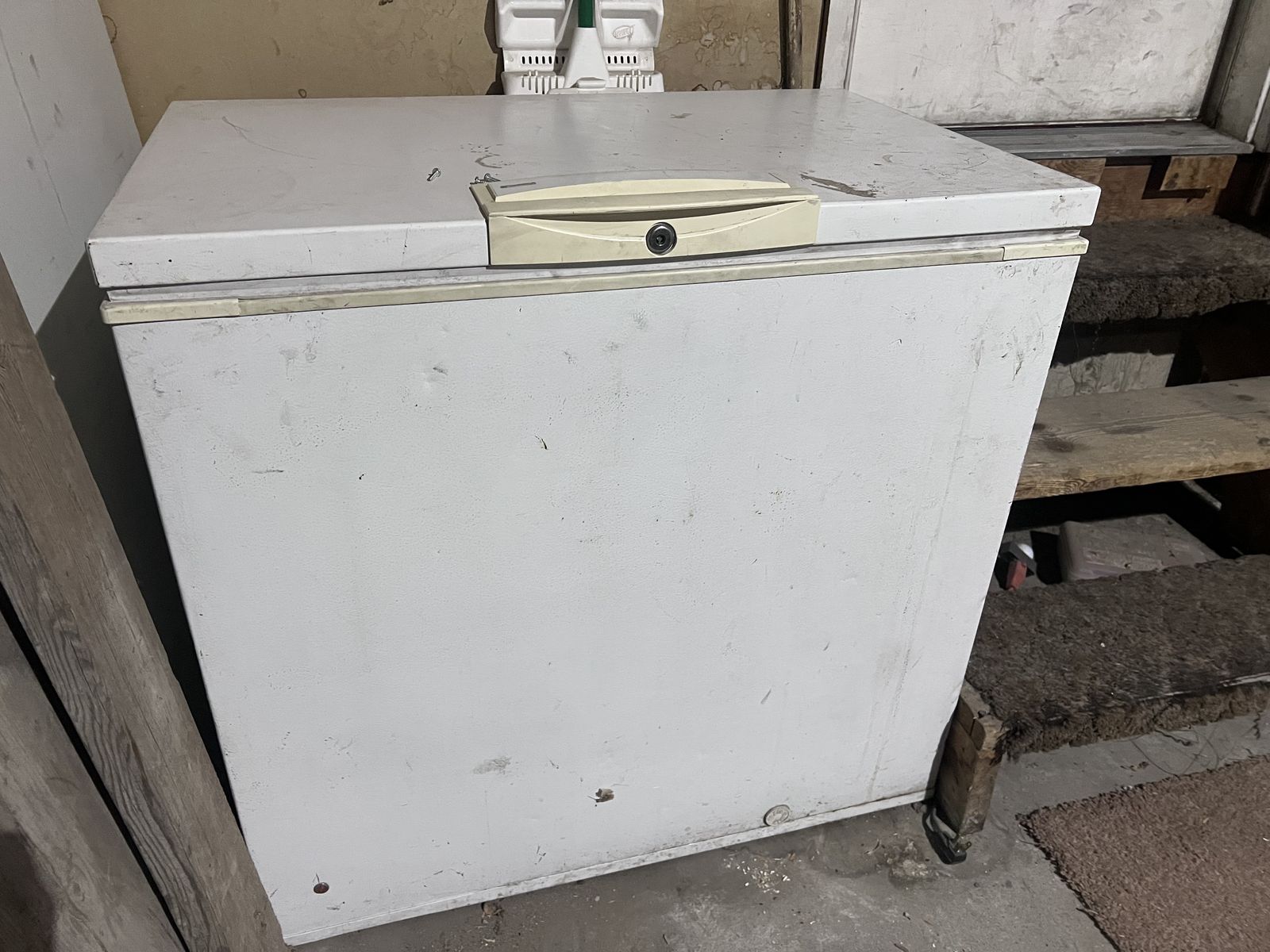 Storage freezer