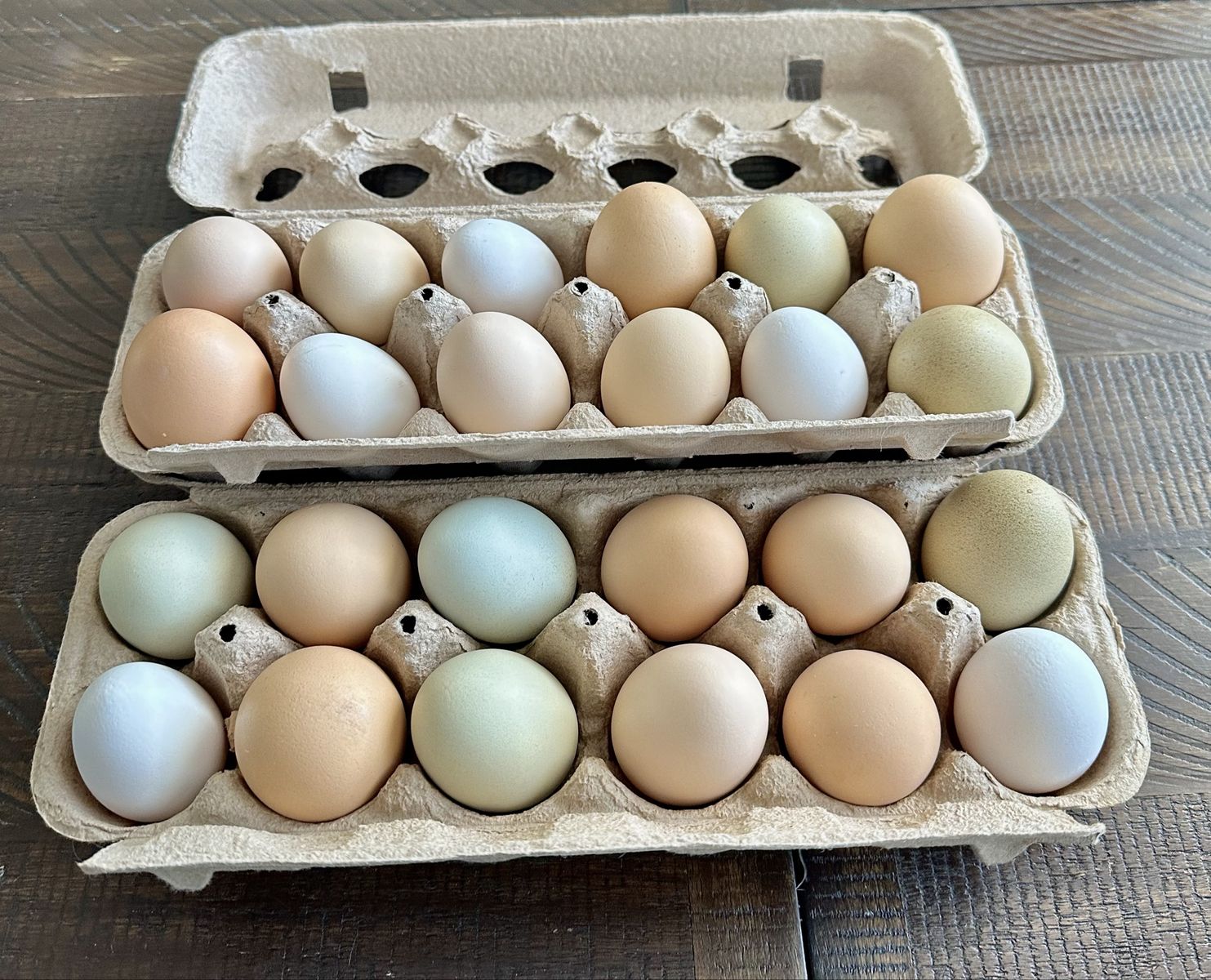 Chicken Eggs