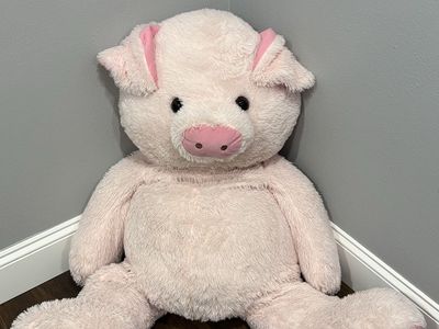 Stuffed Animal