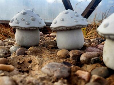 Mushrooms concrete, garden, kitchen, bookshelf