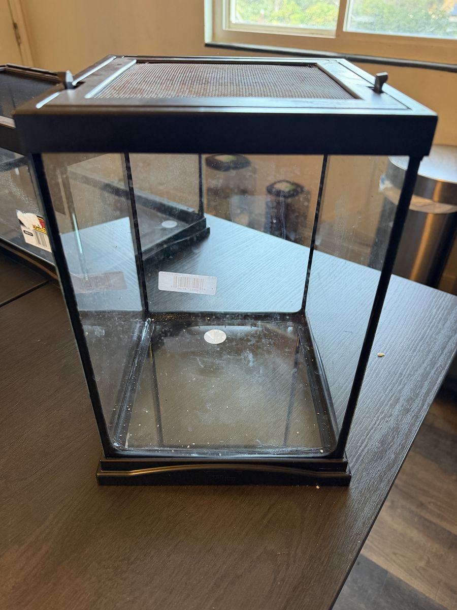 Zoomed Glass Terrarium Tank with Removable Mesh Screen Top