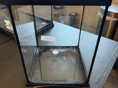 Zoomed Glass Terrarium Tank with Removable Mesh Screen Top