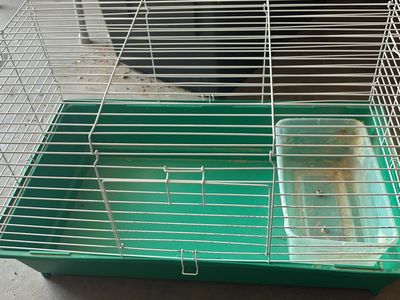 Small Animal / Bunny Cage with Green Base & Clear Tray