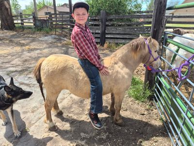 Ponies