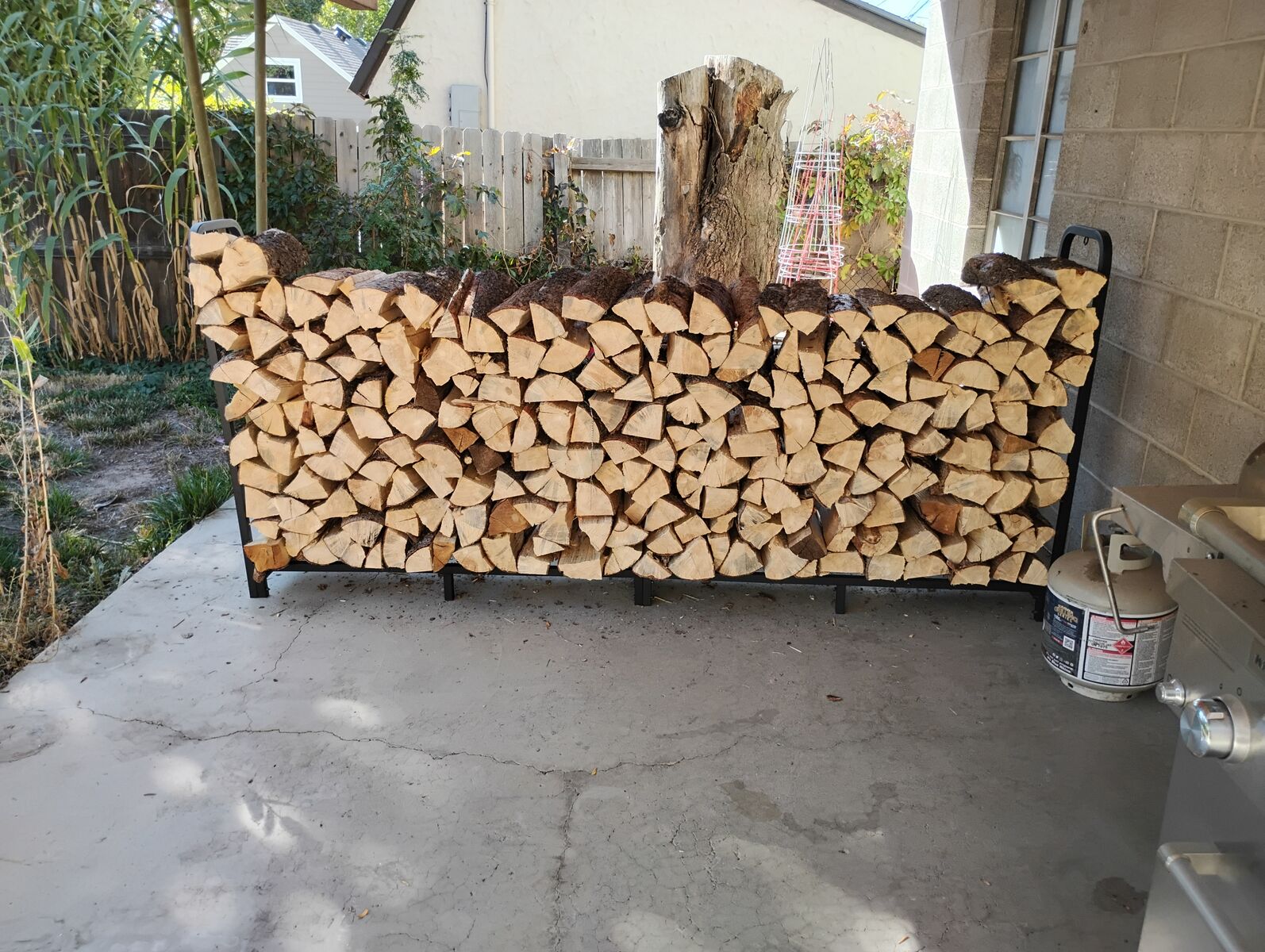 Seasoned pine firewood