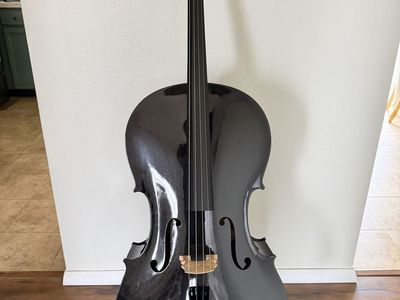Cecilio 4/4 (full size) black cello