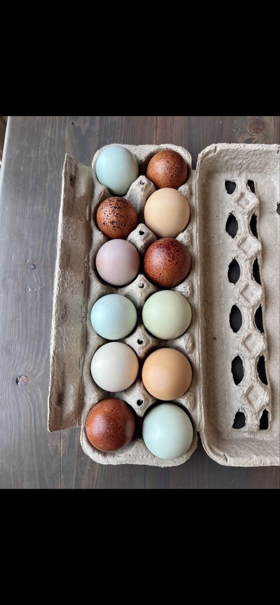 Hatching Rainbow Eggs!