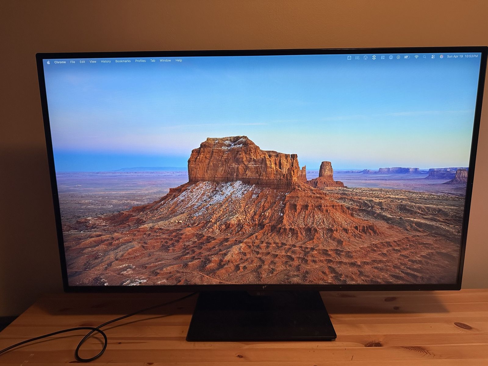 43” 4K LED LG Monitor