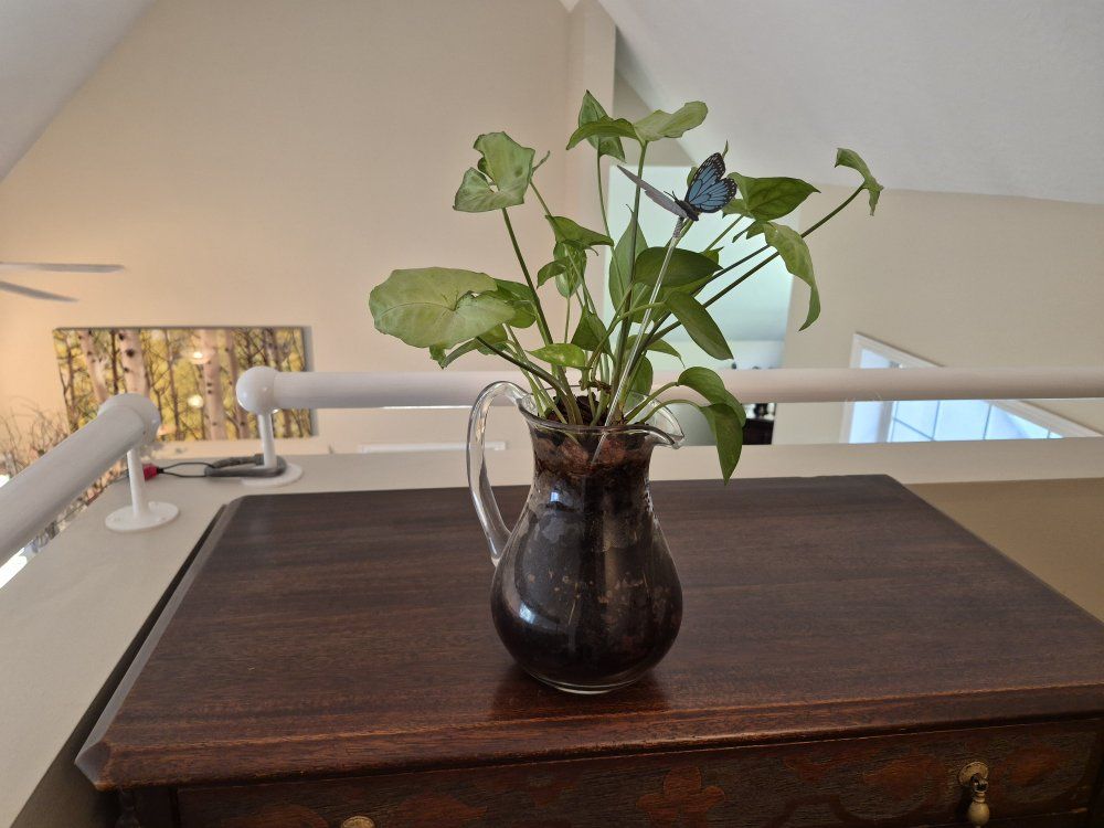 Main image 5