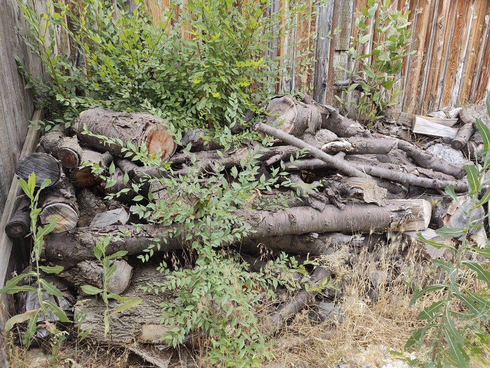 Wood For Sale - Well Seasoned