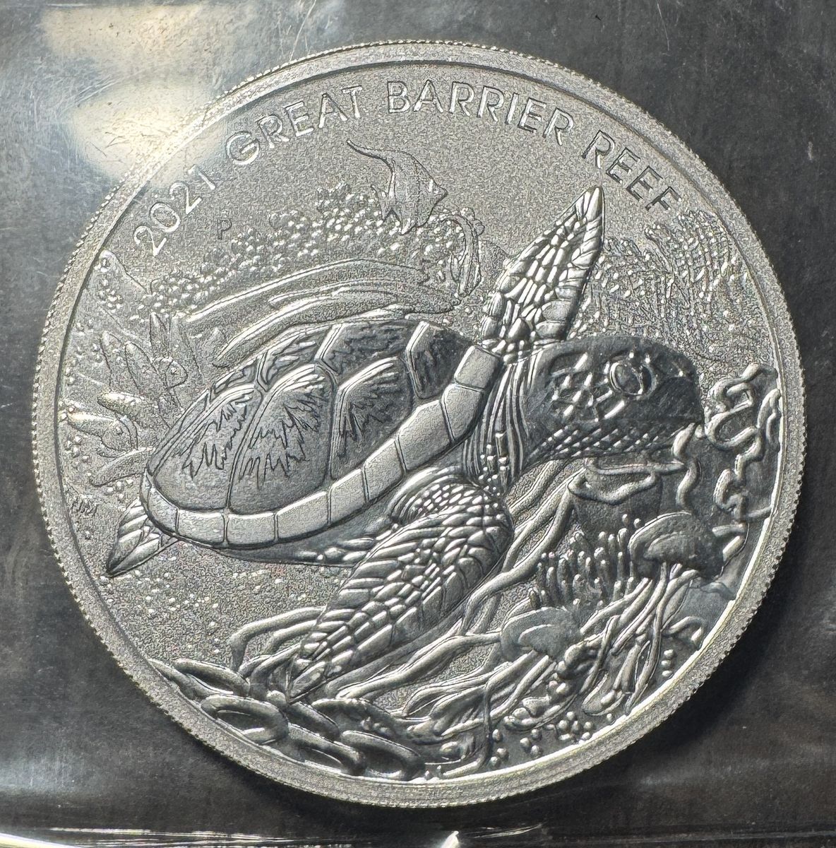 Main image 7