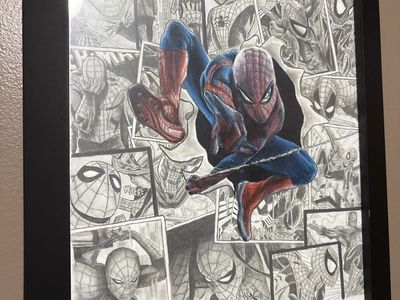 Framed The Amazing Spider-Man Art Print - Limited Edition Signed #9/500