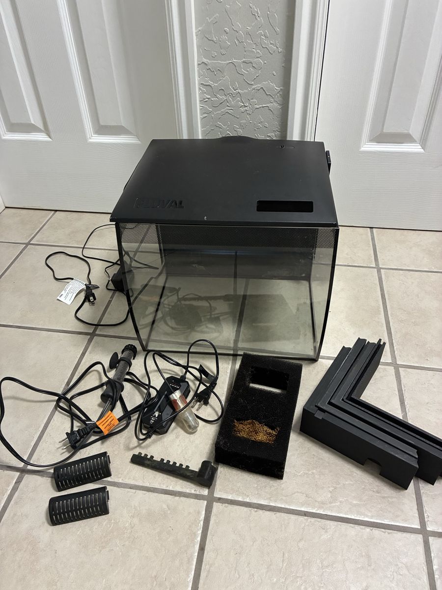 9 gallon fish tank with accessories