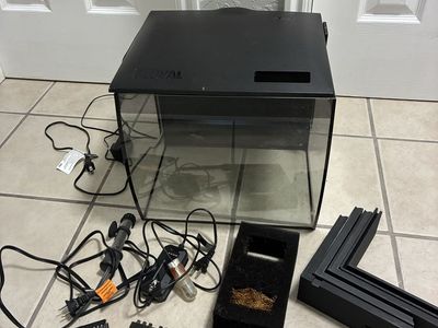9 gallon fish tank with accessories