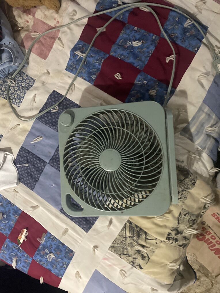 Fan