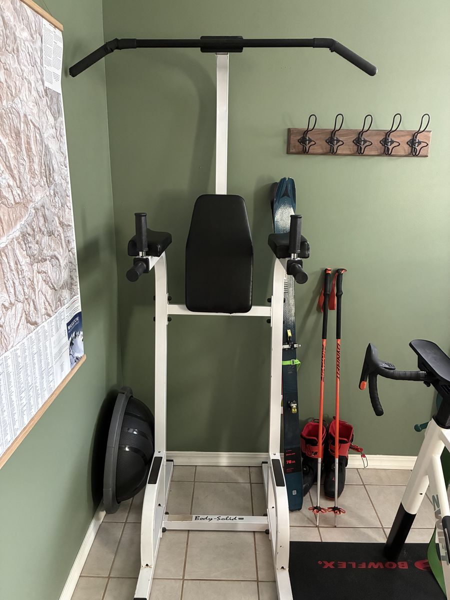 Pull Up and Dip Station